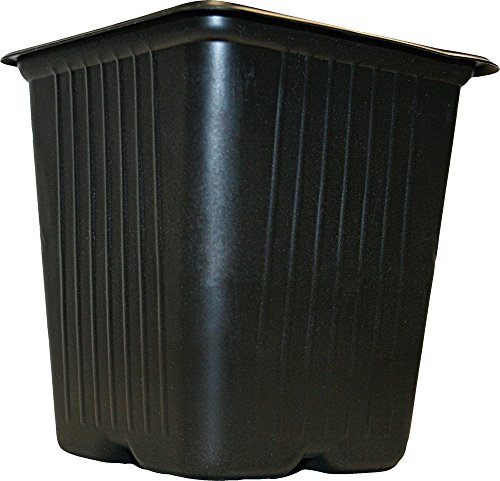 Vilmorin 3990612 - Set di 5 ciotole quadrate in plastica, 11 cm