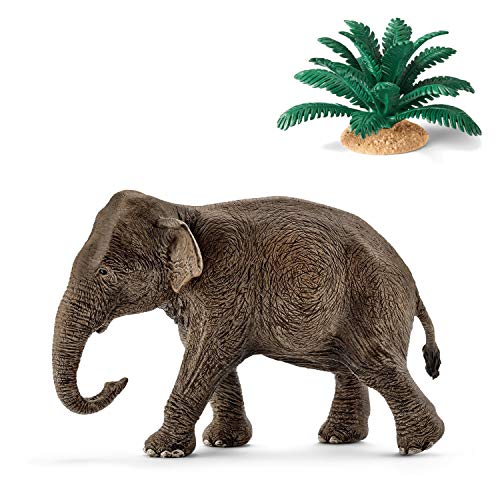 Preisvergleich Produktbild Wildlife Schleich 14753 Asiatische Elefantenkuh + 42244 Farn