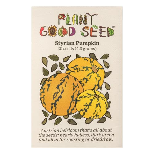 Plant Good Seed Organic Styrian Pumpkin Seeds for Planting: Heirloom Vegetable, Hulless Green Seeds - 20 Seed Packet