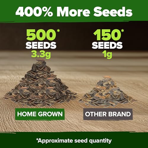 Image of HOME GROWN Envy Zinnia Seeds (1g) - 500 Rare Lime Green Annual Zinnia Flower Seeds for Planting, Fast-Growing Heat-Loving Variety, Premium Herb Seeds Garden Companion for 2026 Blooms (Zinnia elegans)
