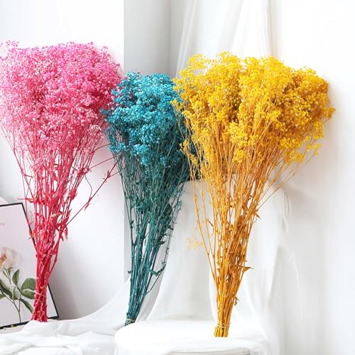 Dried Baby's Breath Flowers Bouquet Natural Dried Flowers Baby's Breath Real Gypsophila Branches for Wedding Table Vase Party Garden DIY Wreath Floral Home Decor(Yellow) - Image 4