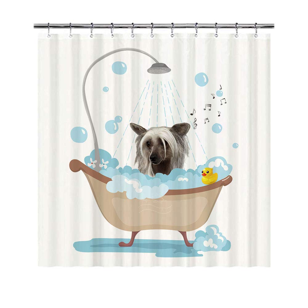 BAGEYOU Funny Dog Chinese Crested in Bath Shower Curtains Cute Puppy Taking A Shower Waterproof Polyester Fabric Bathroom Curtain 66 X 72 Inch, with 12 Hooks