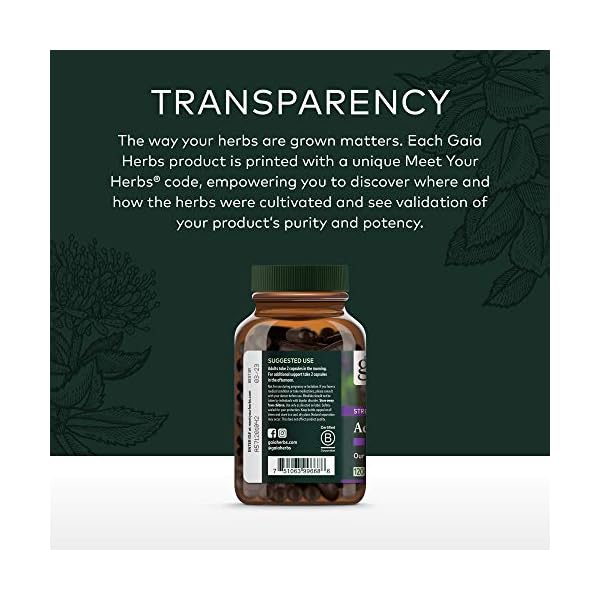 Gaia-Herbs-Adrenal-Health-Daily-Support-Stress-Relief-and-Adrenal-Fatigue-Supplement-Holy-Basil-Ashwagandha-Rhodiola-Adrenal-Complex-Vegan-Liquid-Capsules-120-Count Gaia Herbs Adrenal Health Daily Support - with Ashwagandha, Holy Basil & Schisandra - Herbal Supplement to Help Maintain Healthy Energy and Stress Levels - 120 Liquid Phyto-Capsules (120 Count)
