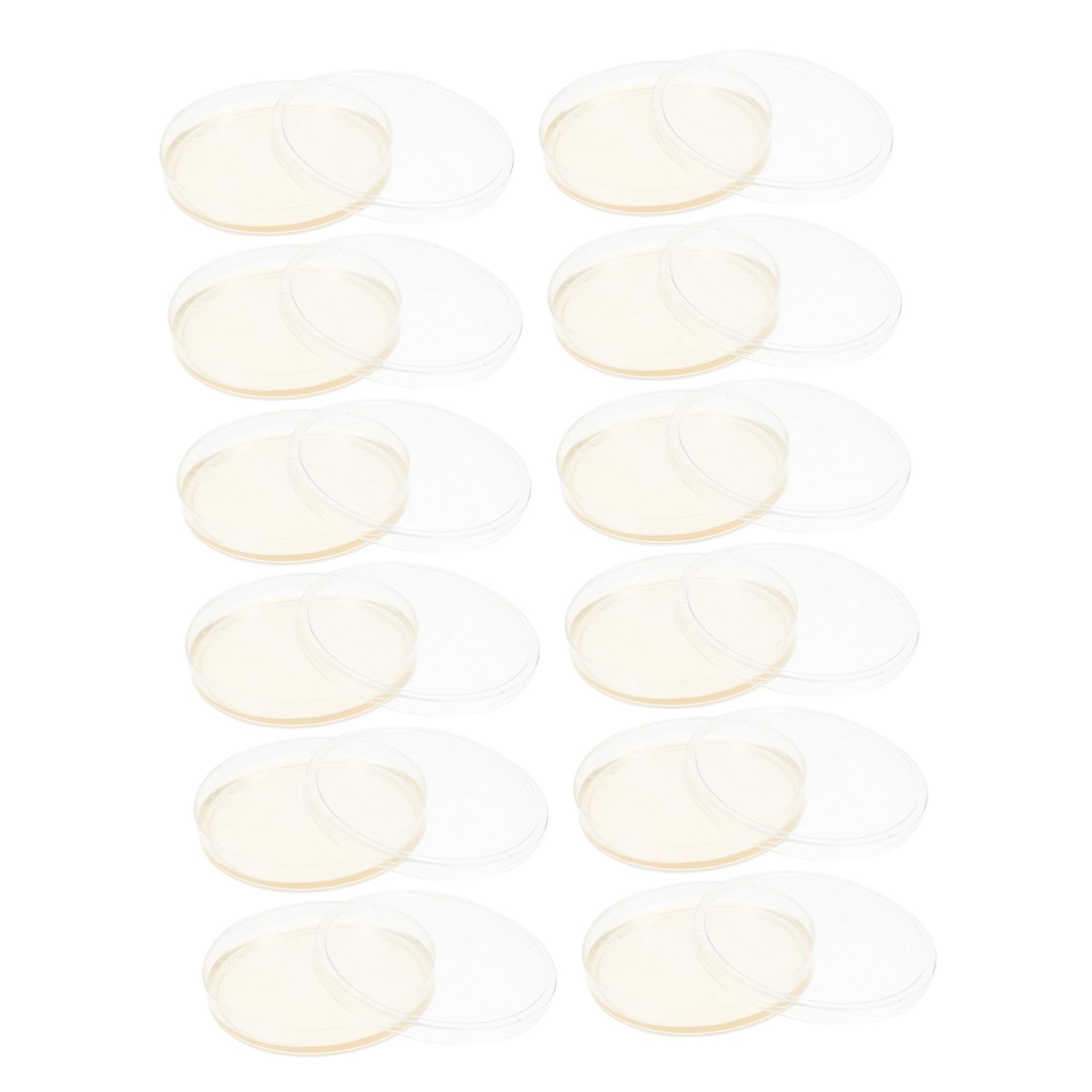 20 Pezzi Piastre di Petri Rotonde in Plastica Agar Nutritivo da 9 Cm, Coperchi Ermetici per Crescita Stabile, per Esperimenti Scientifici in Laboratorio