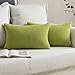 MIULEE Copricuscini per Divano Federe Cuscini Decorativi Rettangolari per Letto Matrimoniale Salotto Soggiorno per Cameretta Arredo Moderno Granulare 2 Pezzi 30X50 CM Giallo Verde