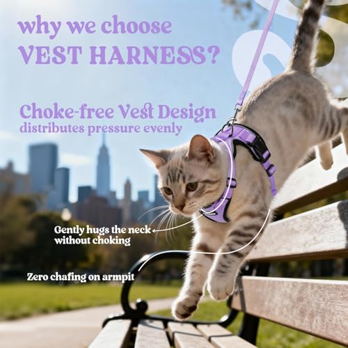 Image of rabbitgoo Cat Harness and Leash Set, Escape Proof Vest, Light Purple | Soft Breathable Mesh, Easy Adjustable Fit, Snap Buckles, Sturdy Clip, Reflective Strips, for Small & Average Cats Walks, Xs