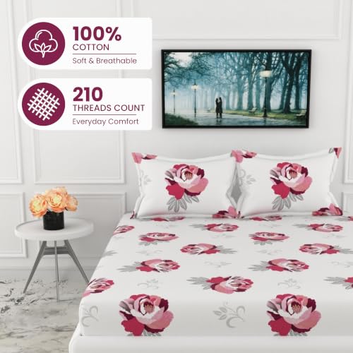 Image of LORETO - A QUALITY LINEN BRAND 210 TC 100% Pure Cotton Double /Queen Fitted Bedsheet with 2 Pillow Covers for 78 x 60 Inch Mattress, All-Around Elastic, 8 Inch Deep Pocket, Wine & Pink Floral