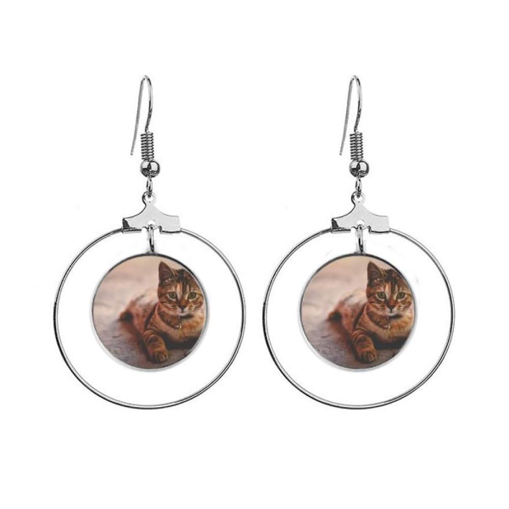 Pendientes de aro con diseño de gato sin tirones cómodos para dormir 4
