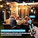 Palawell Outdoor Dimmer, 260W LED String Light Dimmer Remote Control, 100ft Range, Timmer Switch, Black