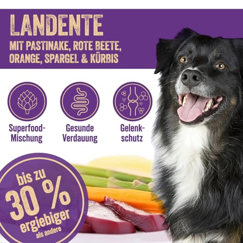Premium Hundefutter trocken getreidefrei - Alleinfutter mit Landente 2 kg für ausgewachsene Hunde – Ente mit Pastinaken, rote Beete, Orange, Spargel & Kürbis