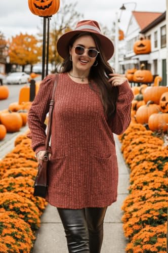 Image of OFEEFAN Long Sleeve Shirts for Women Long Sweaters with Pockets Tunic Tops Loose Fit