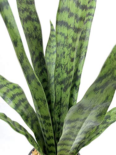 Bird Fiy Artificial Snake Plant 22.5" Faux Agave Fake Sansevieria Artificial Potted Plants For Indoor And Outdoor Home Office Décor #TOP1