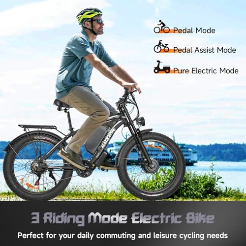 BAOLUJIE 38MPH Dual Motor Ebike