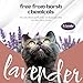 DR.LAVENDER Natural Pet Coat Spray – Lavender & Orange Peel Essential Oil Formula – Gentle Grooming & Cleansing Spray for Dogs & Cats – Safe for Home, Bedding & Furniture – Fresh Scent
