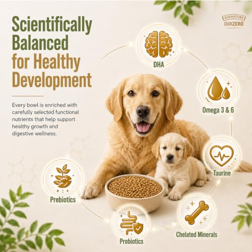 Image of Grain Zero Starter Dry Dog Food 1.2kg | Real Chicken, Egg & Vegetables | 48% Meat Inclusion, No Grain Formula, Gluten-Free | Promotes Healthy Skin & Coat | for Puppy & Mother