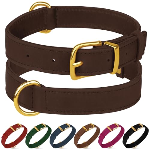 Collar de cuero para perro ajustable L 15-19 pulgadas