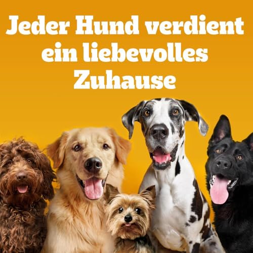PEDIGREE RANCHOS Hundesnacks Huhn Kaustangen für Hunde, 8x60g - Leckere Kausticks