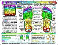 Algopix Similar Product 7 - Rainbow FOOT Reflexology Acupressure