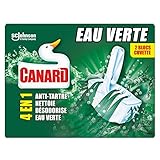 Canard WC Bloc WC Colorant - Eau Verte Pin – Nettoie et parfume à chaque chasse - 2 Blocs