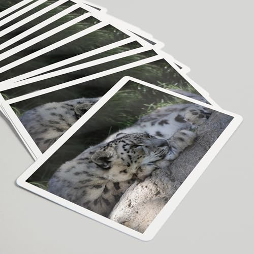 Baraja de Poker Lantern Press Snow Leopard 52 Cartas miniatura 5
