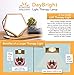DayBright Light Therapy Lamp Full Spectrum, 10,000 LUX, UV-Free, Full Size, Adjustable Light, Happy Light, Sun Lamp, Sunlight Lamp for Daylight Feelings - Crafted from Solid Wood