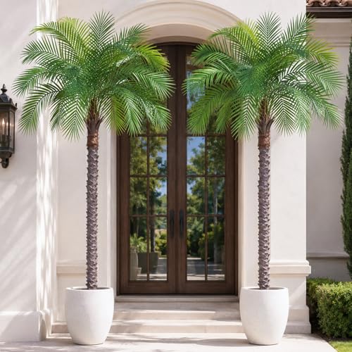 Image of 6ft Artificial Phoenix Palm Tree, Faux Coconut Silk Tropical Fake Palm Plant for Indoor Outdoor Home Office Patio Bathroom Pool Coastal Decor(Set of 2)