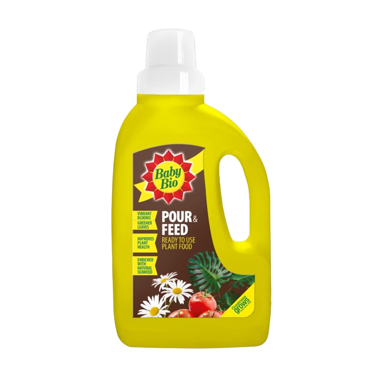 Baby Bio Pour & Feed Liquid Plant Food, Ready to Use Houseplant Feed with Seaweed Extract, Indoor Plant Nutrition for Green Leaves & Flowering Plants, 1Ltr