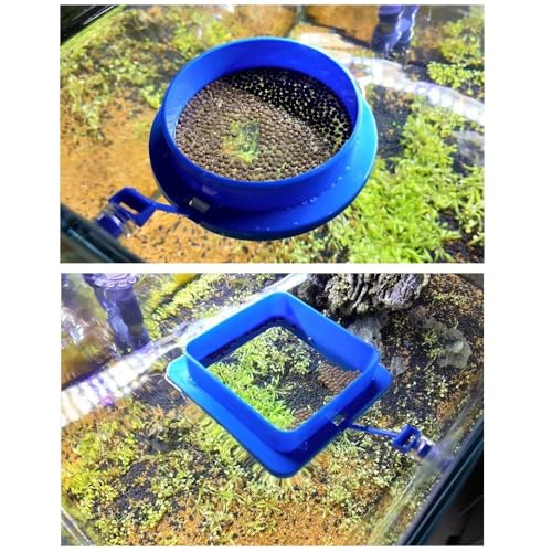 Reviews de Venta de Anillos del mes. 12 Imagen adicional