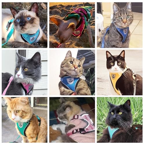 PUPTECK Cat Harness and Leash Set Escape Proof Reflective Cat Walking Harness Adjustable Soft Breathable Mesh Vest for Small Pets, Deep Pink, M by PUPTECK - Image 7