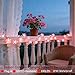 33ft 100 LED Connectable Fairy Pink Flower String Lights 8 Modes for Valentine's Day Wedding Party Christms Decor, Light Up Romantic Bedroom Window Tree Home Indoor Outdoor Hanging Decorations