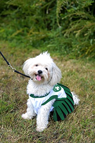 Pets First NBA Boston Celtics Dog Cheerleader Dress, X-Small