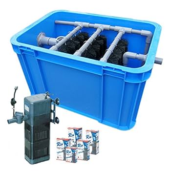 水槽一体式濾過槽水槽部2000×1000×610濾過槽1200×1100×650 200L〜1t前後の水槽用濾過槽 + カミハタRio+2100 60Hz +