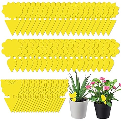 GoldOars 60 Pack Fly Trap Yellow Sticky Dual-sided Fly Catcher Disposable Sticky Board Garden Decorations Includes 3 Styles for Home Indoor Outdoor Greenhouse Multiple Insect Cover