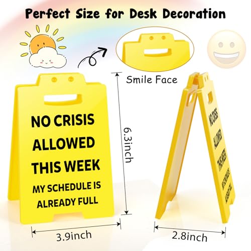 XgiftCreat Funny Boss Gifts for Women - Fun Gag Office Cubicle Decor Employee Appreciation Chaos Coordinator Gifts for Boss Lady Nurses Coworker Secretary Team Principal Assistant Men Hr Manager