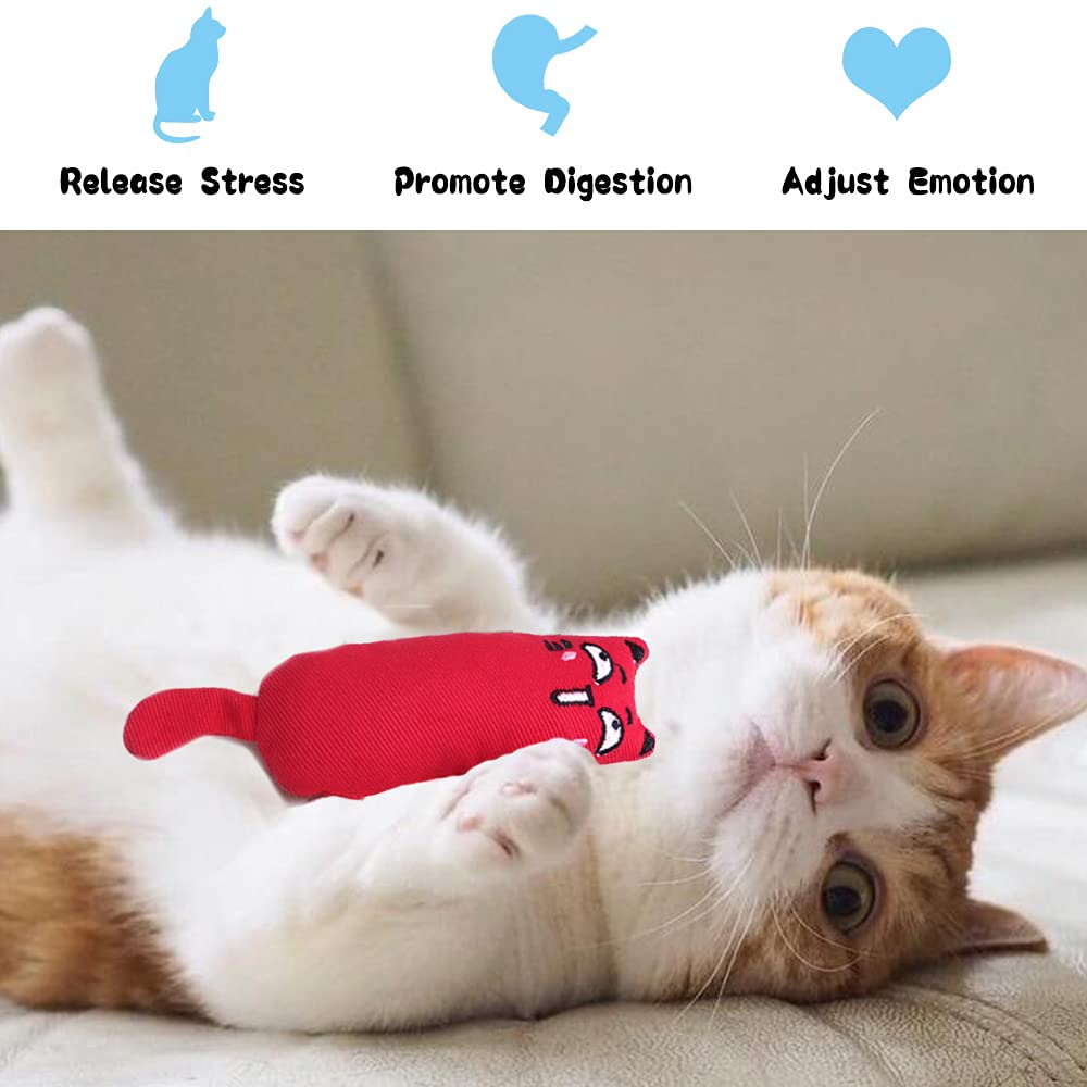 6 stuks kattenkruid speelgoed voor binnenkatten interactief, maxin kat kauwbeet benodigdheden voor kat kitty kitten, kattenkruid speelgoed kat speelgoed set tandjes kauw speelgoed