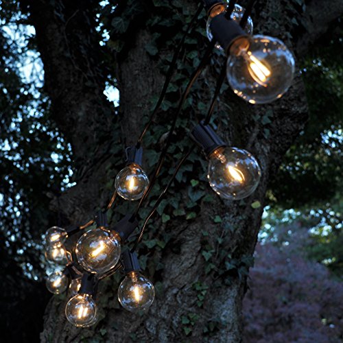 Hometown Evolution, Inc. 100 Foot G50 Led Filament String Lights With .6 Watt Clear Bulbs And Black Wire #TOP4