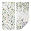 Eucalyptus Leaves-green