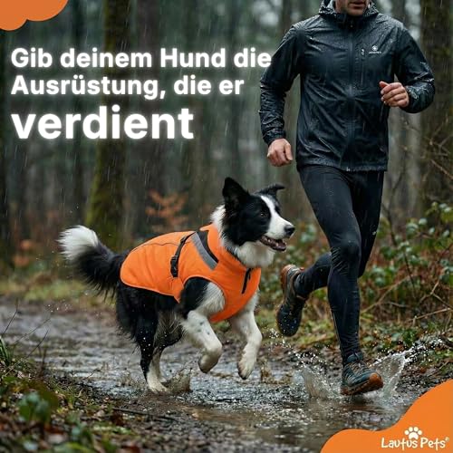 Lautus Pets Wasserdichter Hunderegenmantel, reflektierenden Sicherheitsstreifen & Leinenöffnung – Leichte, Jacke für mittelgroße Hunde - M, Orange