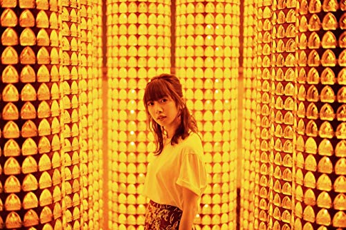 真山りかファースト写真集 麗花