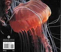 Jellies: Living Art 1878244388 Book Cover