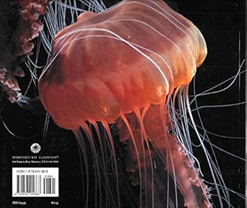 Paperback Jellies: Living Art Book