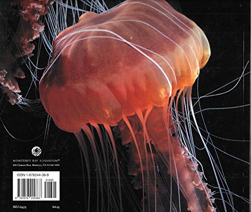Jellies: Living Art 1878244388 Book Cover