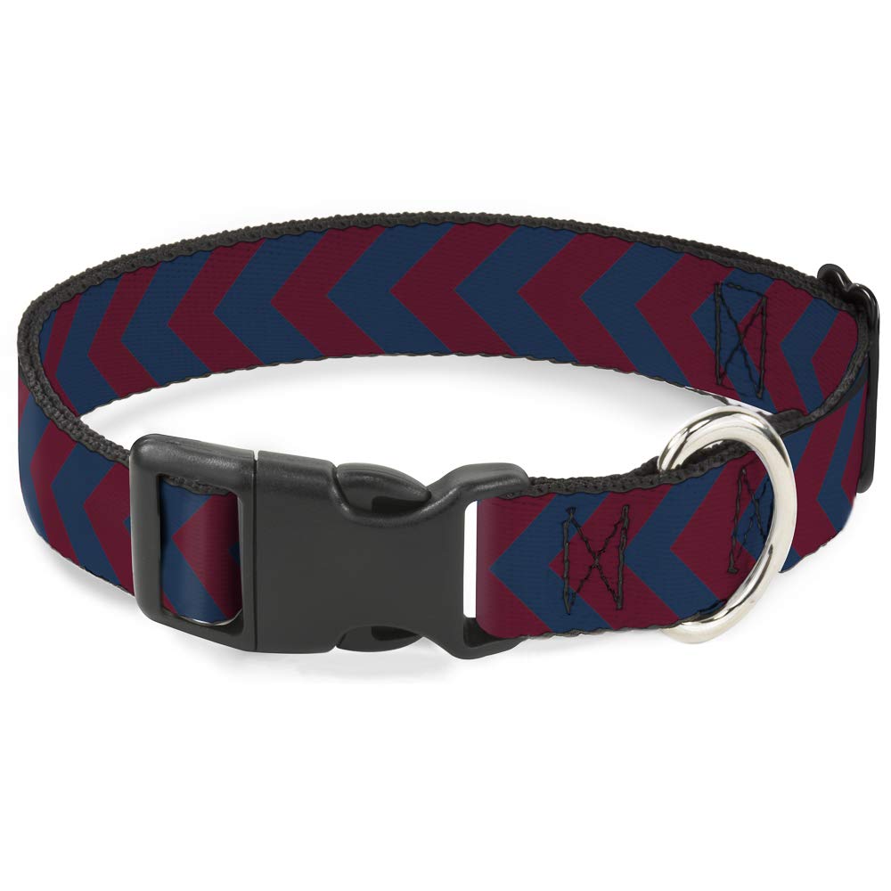 Collier Chevron2 Buckle Down pour les promenades citadines de votre chiot