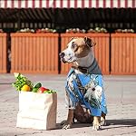 Weewooday 4 Pieces Small Pet Summer T-Shirts Hawaii Style Floral Pet Dog Shirt Breathable Cool Clothes Beach Seaside Puppy Sweatshirt for Puppy(Cute Style,Small) - Image 4
