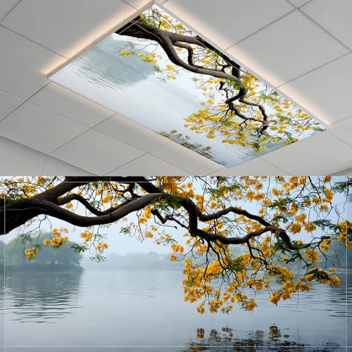 2 Pack Fluorescent Light Covers- 4 x 2 Feet Magnetic Ceiling Light Cover Room Supplies (Lake)