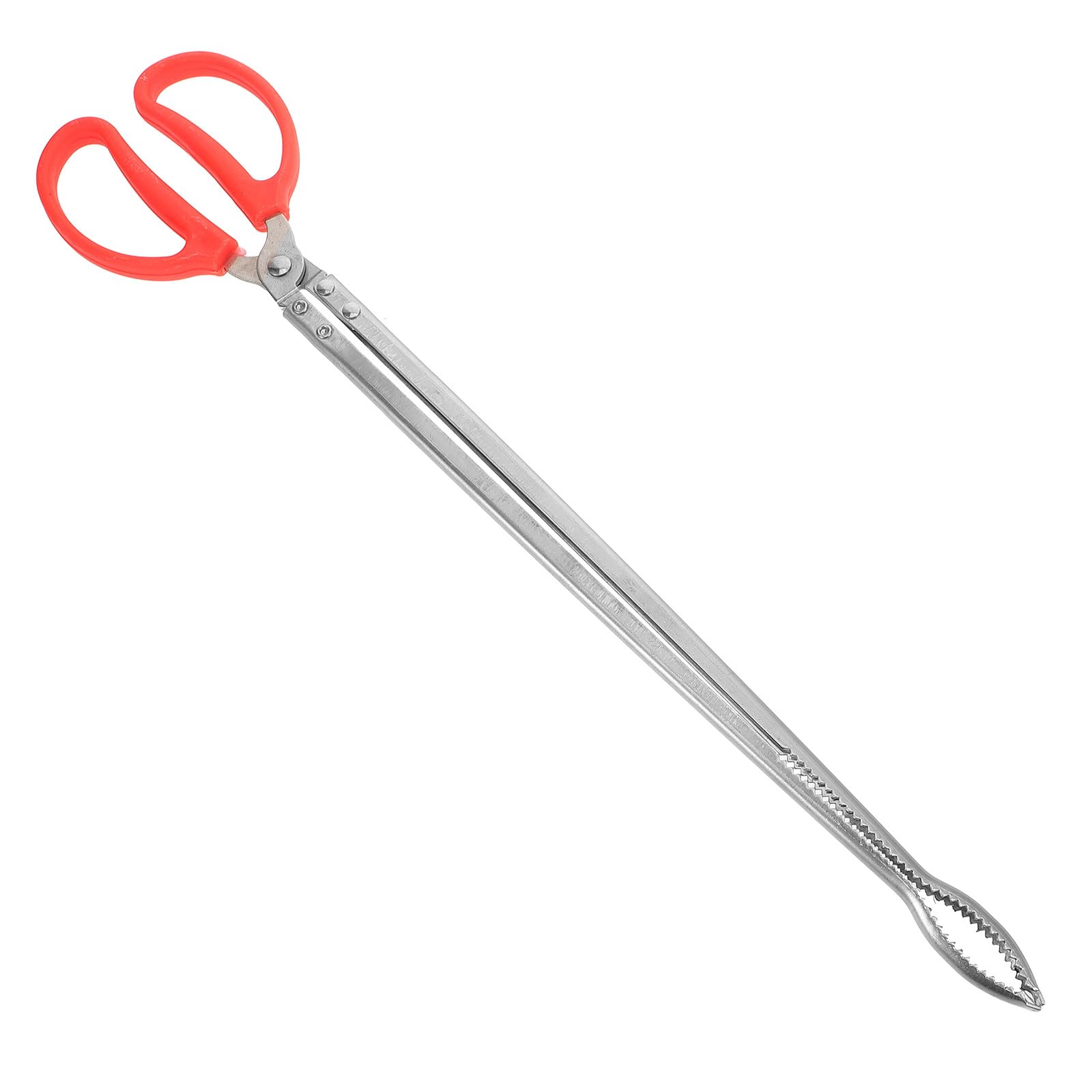 Pinza para atrapar peces accesorios de pesca de acero inoxidable