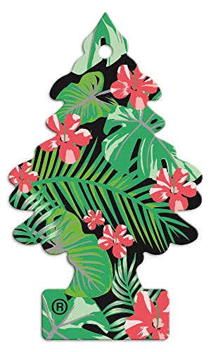 Arbre Magique PER90539 PERFUMADOR PINO JUNGLA Cover