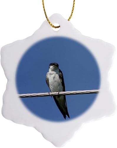 3dRose orn _ 6440 _ 1 hembra granero golondrinas fotografía por Angelandspot porcelana adorno de copo de nieve, 3-Inch