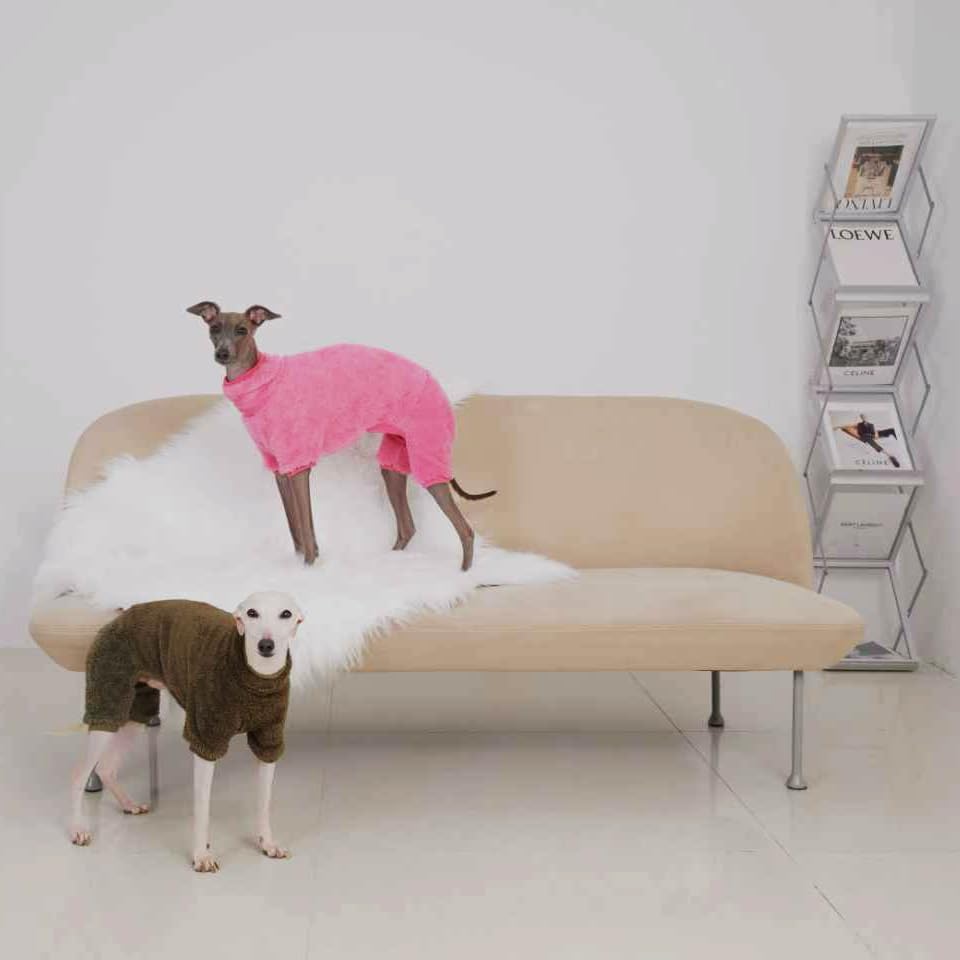 Fleece-Overall mit Dackel-Motiv, Rollkragenpullover, geeignet für Dackel, Winter, weich, gemütlich, Hunde-Pyjama, Kleidung (Dunkelgrün, Größe L)