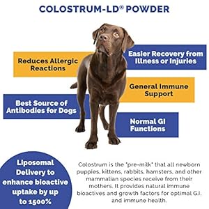 Veterinarian Approved Super Pet Nutrition - for Dogs and Cats - Liposomal Bovine Colostrum, Rich in Immunoglobulins (25%+), Support for Immune and Digestive Systems, Allergies (1.76 Ounces) Veterinarian Approved Super Pet Nutrition for Dogs and Cats Liposomal Bovine Colostrum Rich in Immunoglobulins 25 Support for Immune and Digestive Systems Allergies 176 Ounces